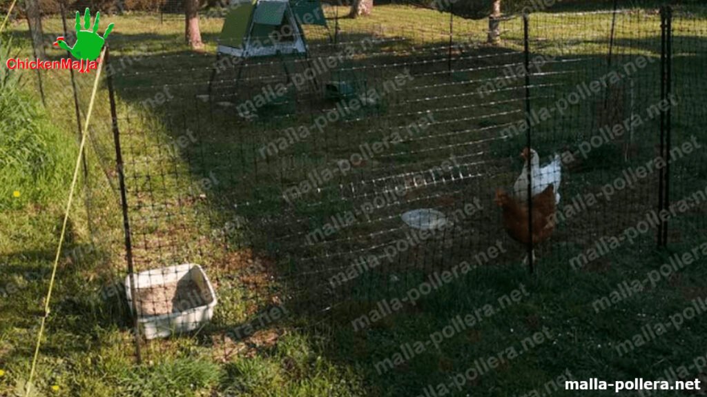 malla para protección de pollos